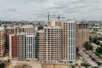 ул. Диминеций, Ботаника изображение 245020