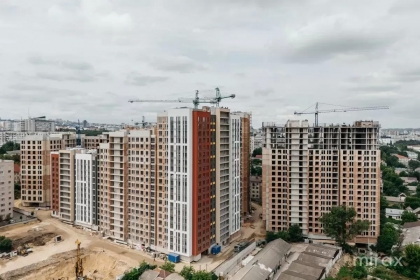 ул. Диминеций, Ботаника изображение 245022