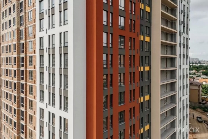 ул. Диминеций, Ботаника изображение 245023