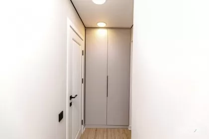 ул. Николае Костин, Буюканы, Кишинев изображение 241837