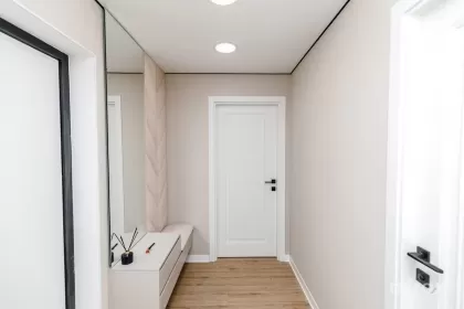 ул. Николае Костин, Буюканы, Кишинев изображение 241841