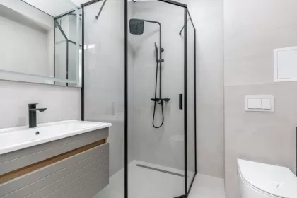 ул. Париc, Буюканы, Кишинев изображение 244208