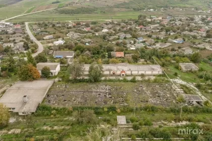 s. Geamăna, Anenii Noi, Moldova imaginea 219848
