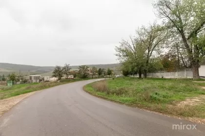 s. Geamăna, Anenii Noi, Moldova imaginea 219853