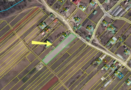 Кондрица, мун. Кишинев изображение 245029