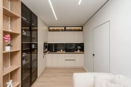 str. Ioana Radu, Buiucani, mun. Chișinău imaginea 224996