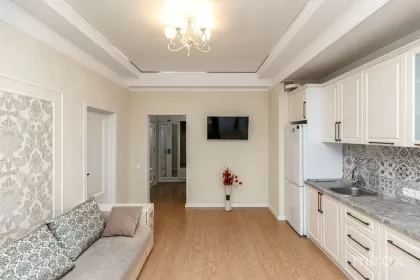 str. Lev Tolstoi, Centru, mun. Chișinău imaginea 218607