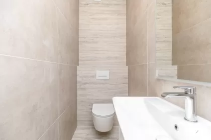 ул. Жубилиарэ, Ботаника, Кишинев изображение 237967