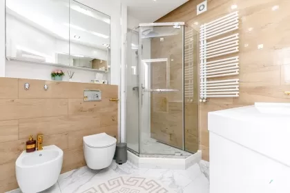 str. Tudor Strișca, Botanica image 245063