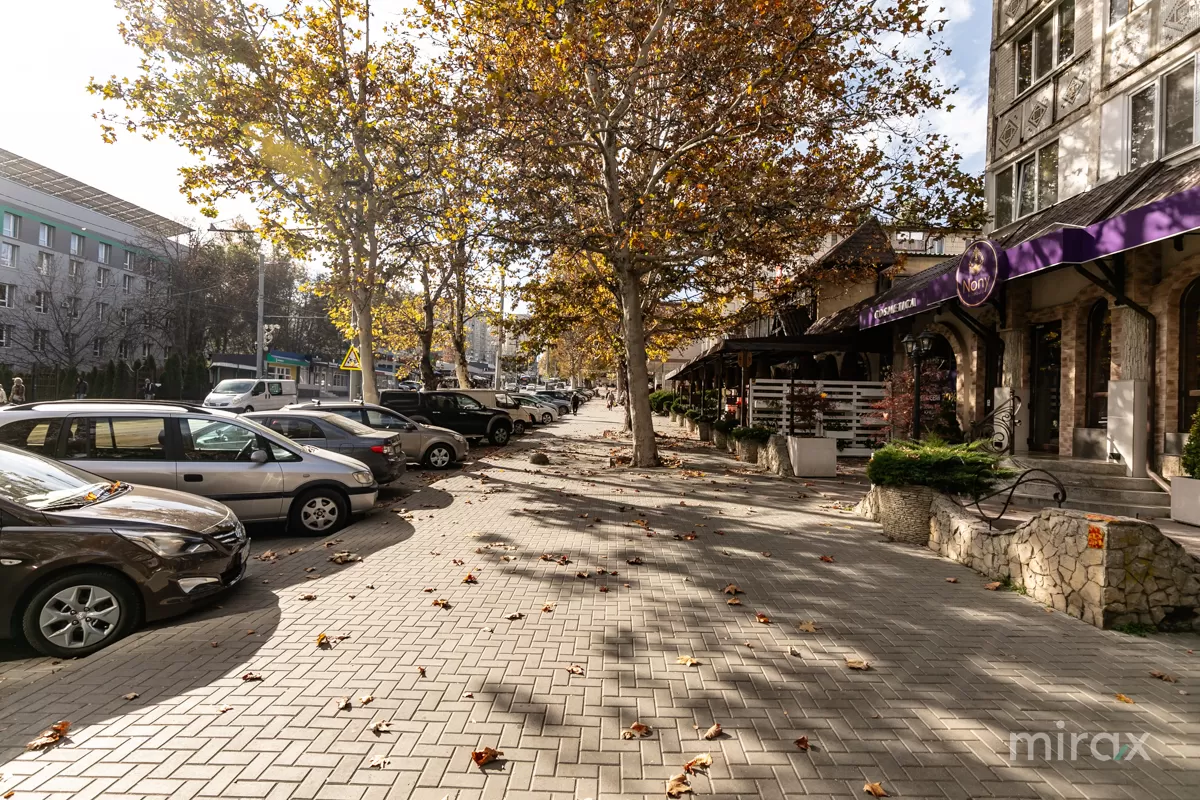 ул. Ион Крянгэ, Буюканы, Кишинев изображение 238055