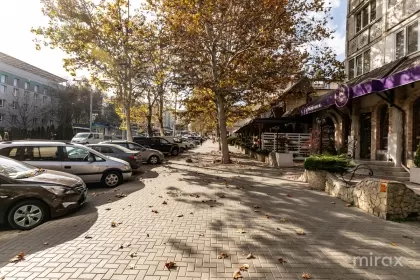 ул. Ион Крянгэ, Буюканы, Кишинев изображение 238055