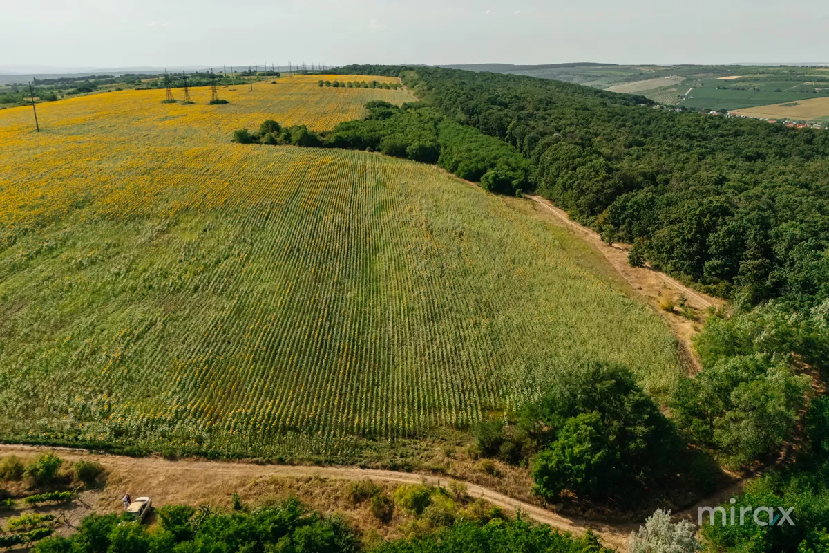 s. Hulboaca, Grătiești, mun. Chișinău