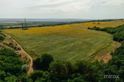 s. Hulboaca, Ghidighici, mun. Chișinău imaginea 228726