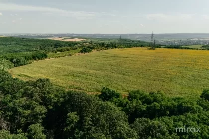 s. Hulboaca, Ghidighici, mun. Chișinău imaginea 228727