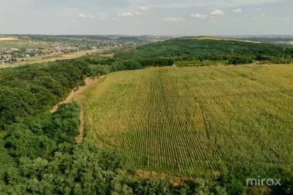 s. Hulboaca, Ghidighici, mun. Chișinău imaginea 228728