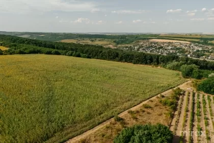 s. Hulboaca, Ghidighici, mun. Chișinău imaginea 228729
