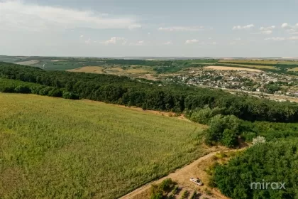 s. Hulboaca, Ghidighici, mun. Chișinău imaginea 228731