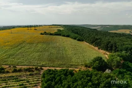 s. Hulboaca, Ghidighici, mun. Chișinău imaginea 228732