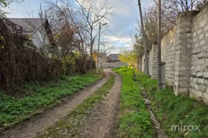 ул. Нуферилор, Ботаника, Кишинев изображение 239348