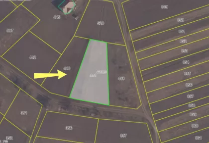 с. Пересечина, Орхей, Кишинев изображение 240684