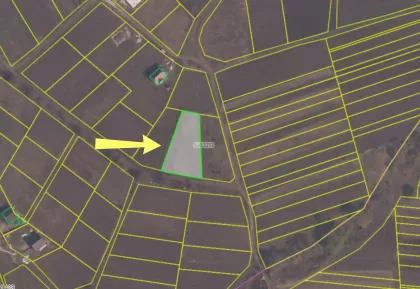 с. Пересечина, Орхей, Кишинев изображение 240685