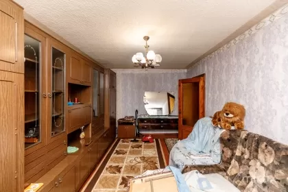 str. Burebista, Botanica image 243127