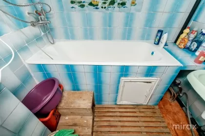 str. Burebista, Botanica image 243131