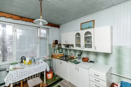 str. Burebista, Botanica image 243132