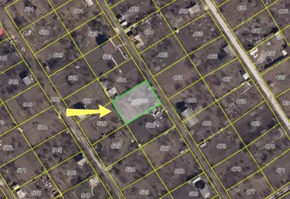 s. Cruzești, mun. Chișinău imaginea 244273