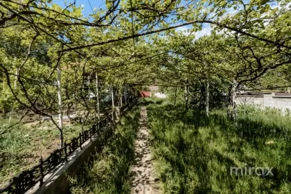 ул. Василе Александри, Стрэшень, мун. Кишинев изображение 222582