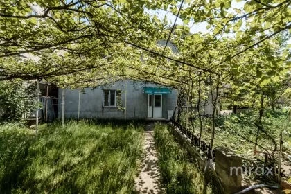 ул. Василе Александри, Стрэшень, мун. Кишинев изображение 222584