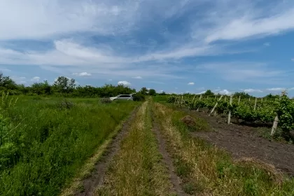 com. Stăuceni, Chișinău, Moldova imaginea 223918