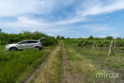 com. Stăuceni, Chișinău, Moldova imaginea 223927
