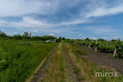com. Stăuceni, Chișinău, Moldova imaginea 223929