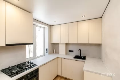 ул. Николае Димо, Рышкань, Кишинев изображение 243166