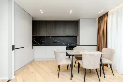 ул. Ион Думенюк, Чокана, Кишинев изображение 239406