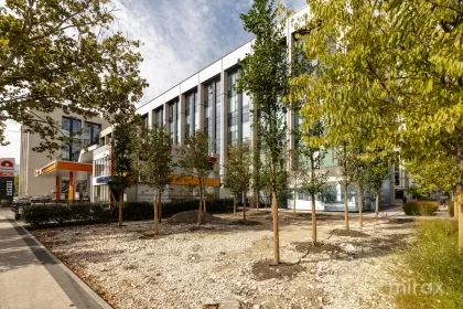 str. Calea Ieșilor, Buiucani, Chișinău imaginea 242084