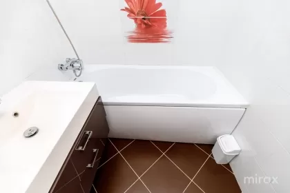 бул. Алба Юлия, Буюканы, Кишинев изображение 243194