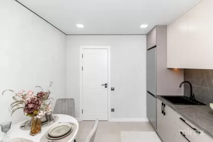 ул. Михаил Садовяну, Чокана, Кишинев изображение 244281