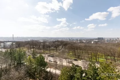 ул. Михаил Садовяну, Чокана, Кишинев изображение 244292