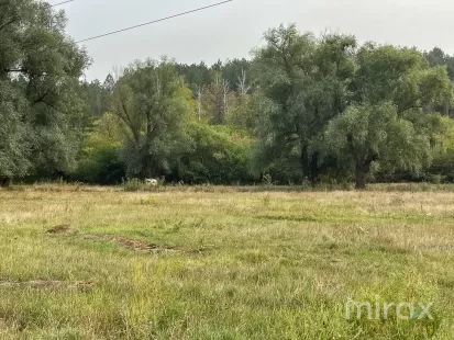 com. Tohatin, Chișinău, Moldova