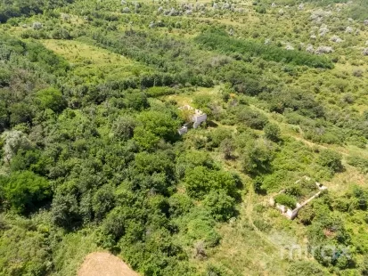 s. Morozeni, Orhei, Moldova imaginea 228767