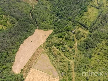 s. Morozeni, Orhei, Moldova imaginea 228775