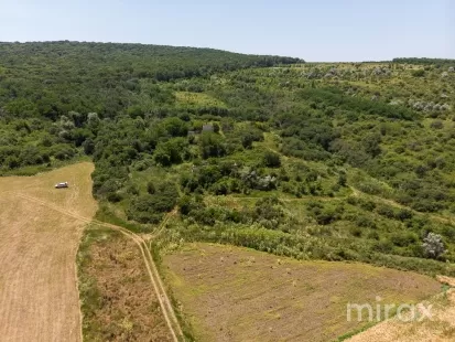 s. Morozeni, Orhei, Moldova imaginea 228777