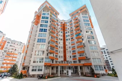 ул. Валя Трандафирилор, Ботаника изображение 243210