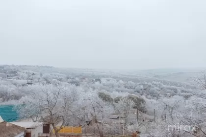 str. Păcii, Tohatin, Chișinău imaginea 196919