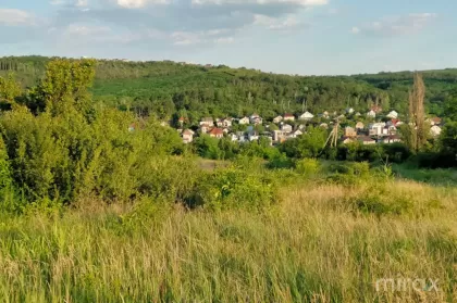 Tohatin, Chișinău Mun image 230178