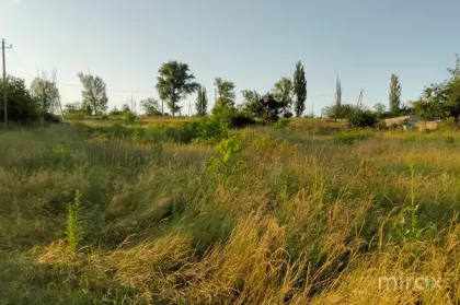 Tohatin, Chișinău Mun image 230180