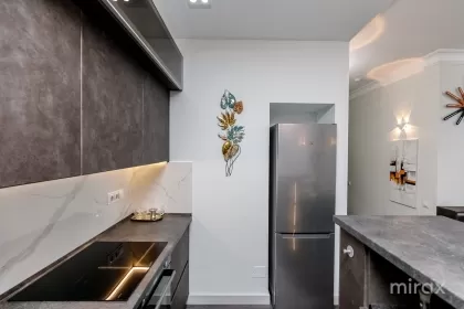 ул. Богдана Воевода, Рышкань, Кишинев изображение 238174