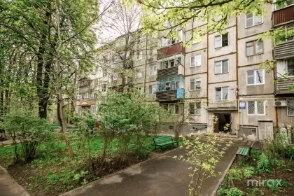 str. Nikolai Zelinski, Botanica image 245223